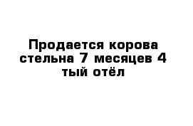 Продается корова стельна 7 месяцев 4 тый отёл